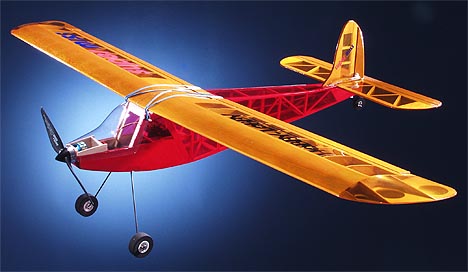 HLA2067